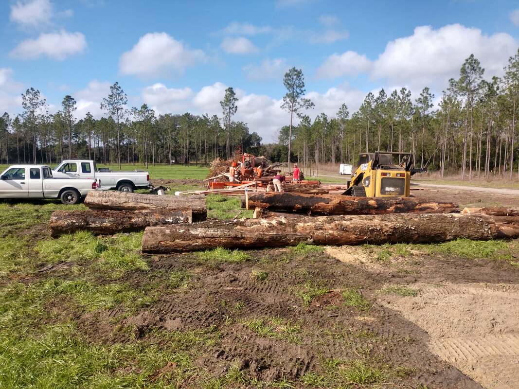 Stump Grinding